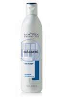 Matrix Solutionist - Sosilver šampon 